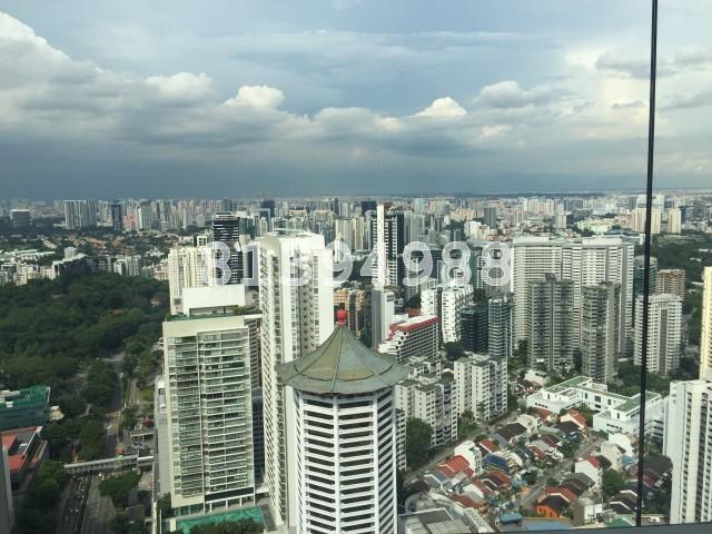 The Orchard Residences (D9), Apartment #133361252